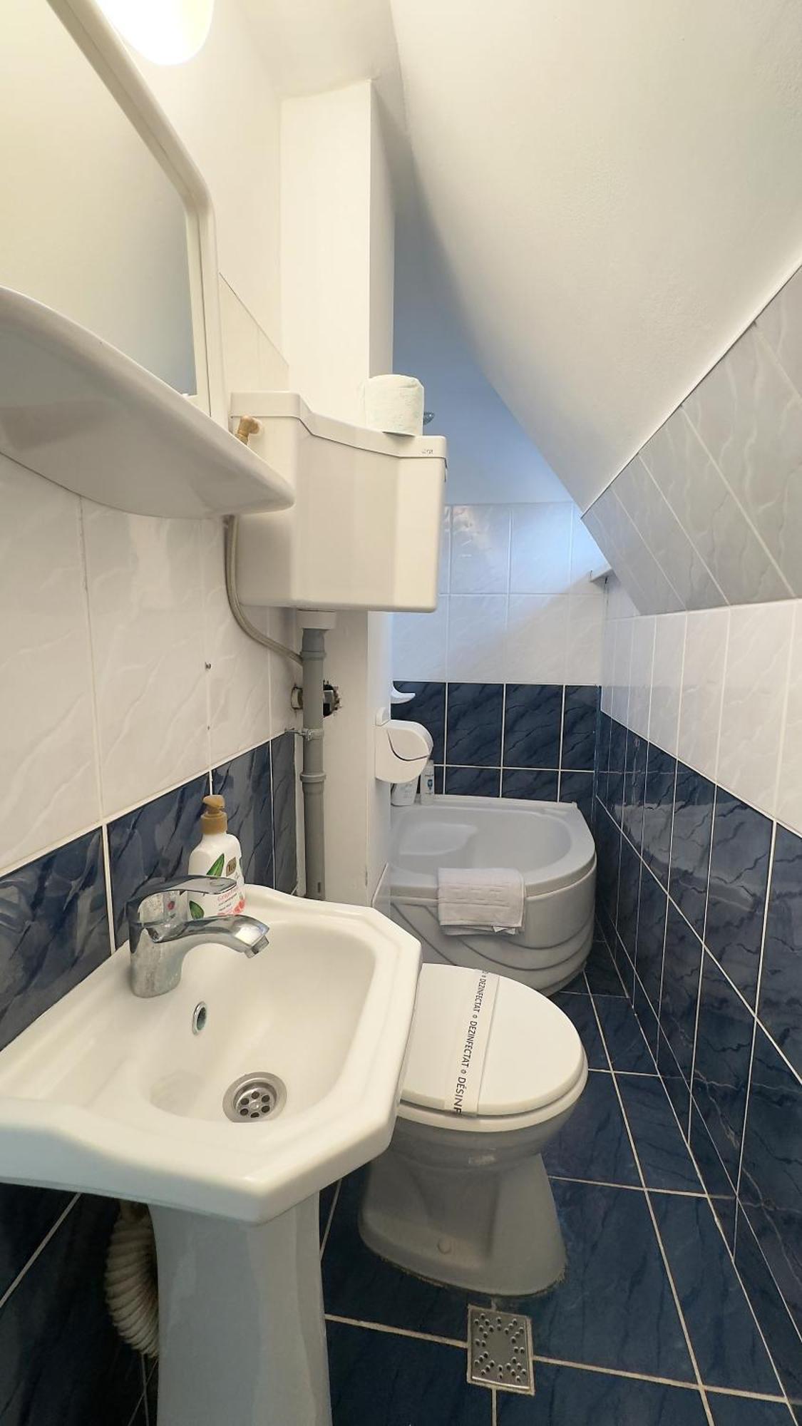 Casa Mina Hotel Busteni Luaran gambar